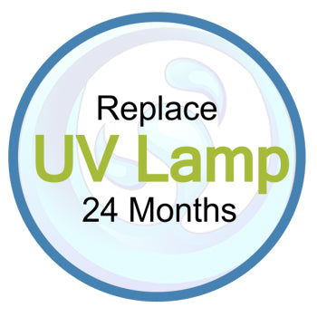 Replace Your Lamp at 24 Months