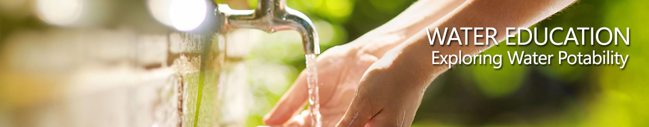 Exploring Potability in Water