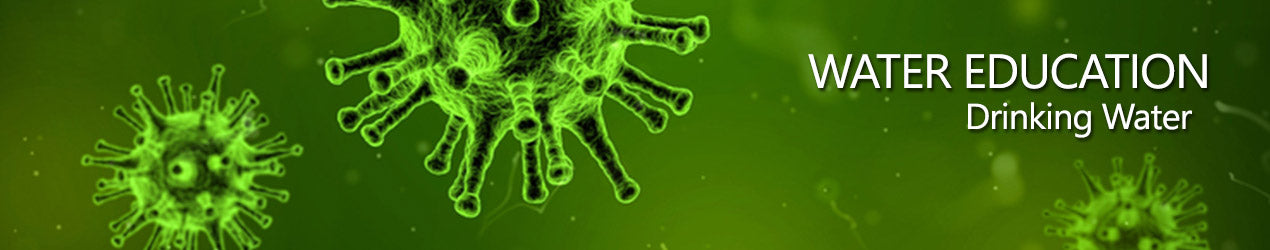 Enteric Viruses in Water