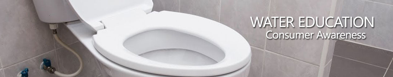 The Water Elephant - A Public Challenge