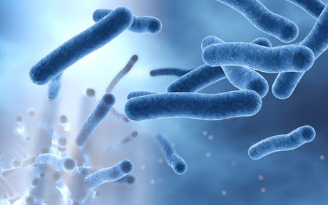 UV - Water Cross Contamination