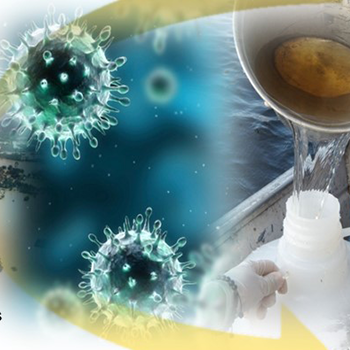 Enteric Viruses in Water