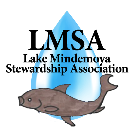 Lake Mindemoya Stewardship Association
