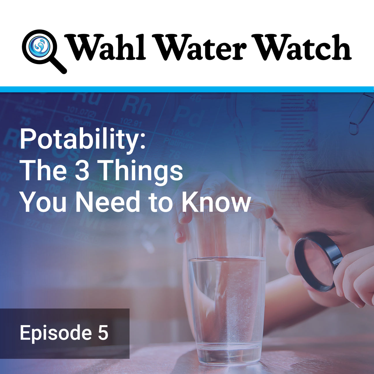 Exploring Potability in Water 832