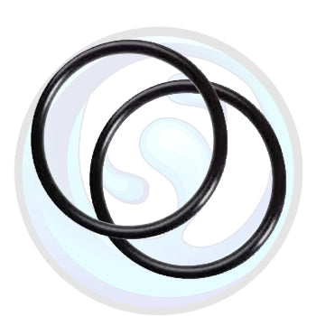 WW029 | Absolute H2O Set of 2 O-Rings | Double O-Ring Housing