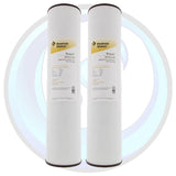 155263-44 | Pentek RFFE20-BB Iron Reducing Filter 2-Pack
