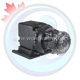 Free Shipping from Canadian Warehouses