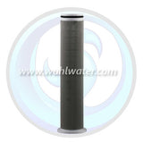 BII Stainless Steel Element Filter | 2" | 40 Mesh | 14SF-FE20SM040