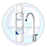 Fits F1000-B1B Pentair Drinking Water System