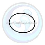 151121 | O-Ring Pentek Slimline